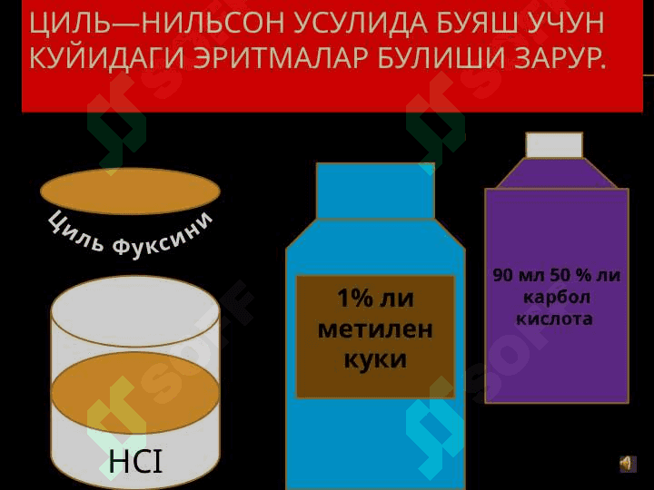 ТЕРИ СИЛИ (TuBerkulosis cutis) 4