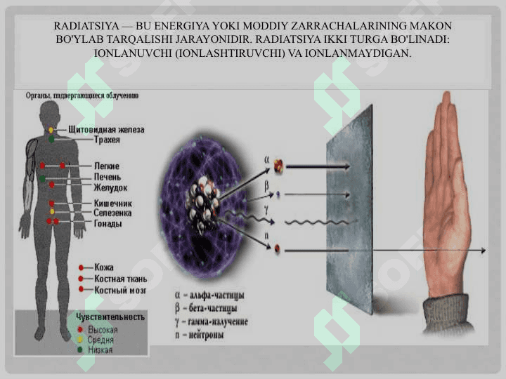Ionlanuvchi nurlarning organizmga ta’siri 2