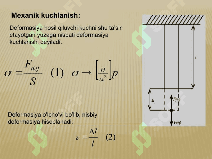 Biomexanika Биомеханика 6