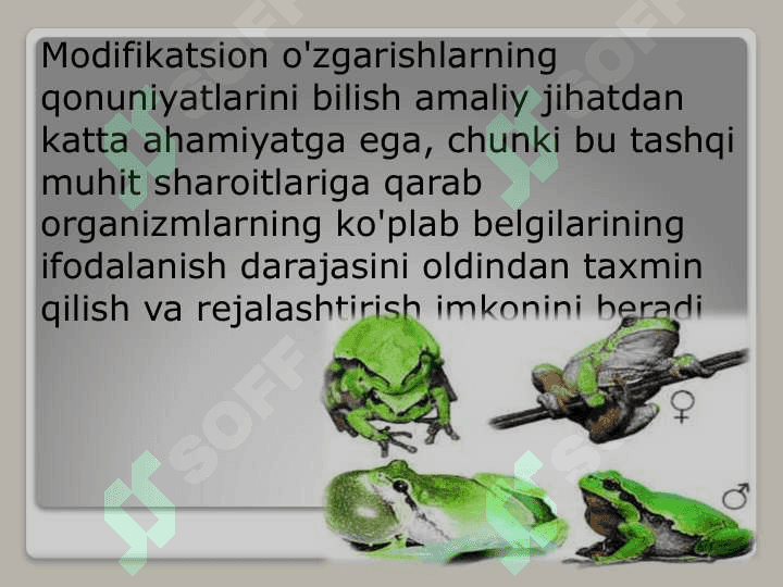 O‘zgaruvchanlik Узгарувчанлик ўзгарувчанлик 8