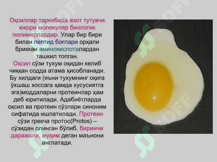 Oqsillar yoki proteinlar ОҚСИЛЛАР ёки ПРОТЕИНЛАР 2