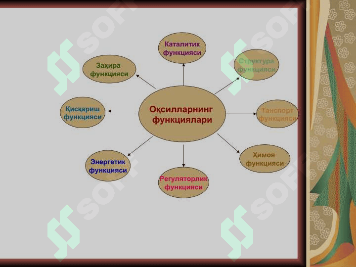 Oqsillar yoki proteinlar ОҚСИЛЛАР ёки ПРОТЕИНЛАР 4