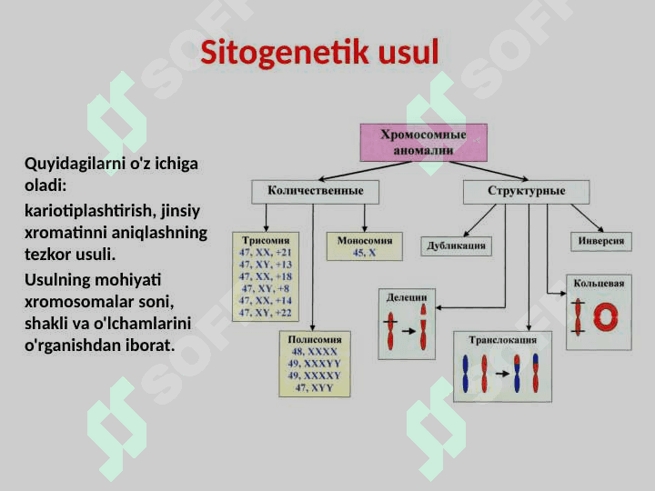 Odam genetikasi va tibbiy genetika. Irsiy kasalliklar. Tibbiy genetik maslahat Ирсий касалликлар 8