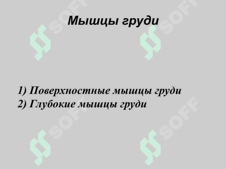 Мышцы туловища мышцы груди иживота 3