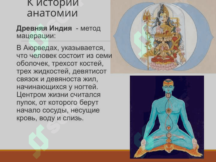 Анатомия как наука история анатомия 6