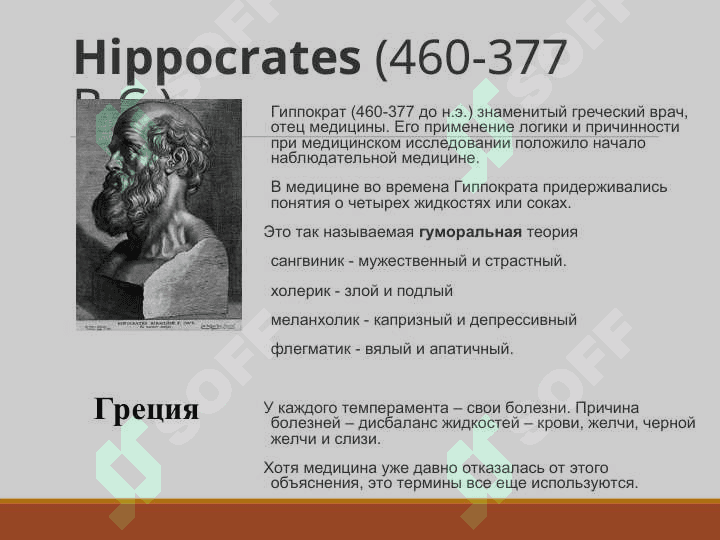 Анатомия как наука история анатомия 8
