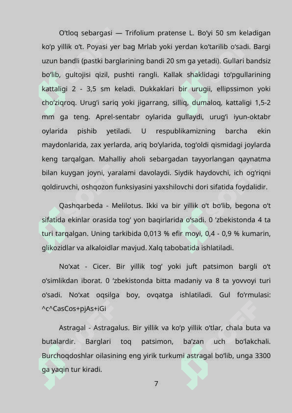 Burchoqdoshlar 7
