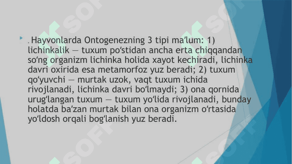 A’zolar sistemasi ontofilogenezi nerv sistemasi, qon aylanish, endokrin tizim, ayiruv sistemasi. 2