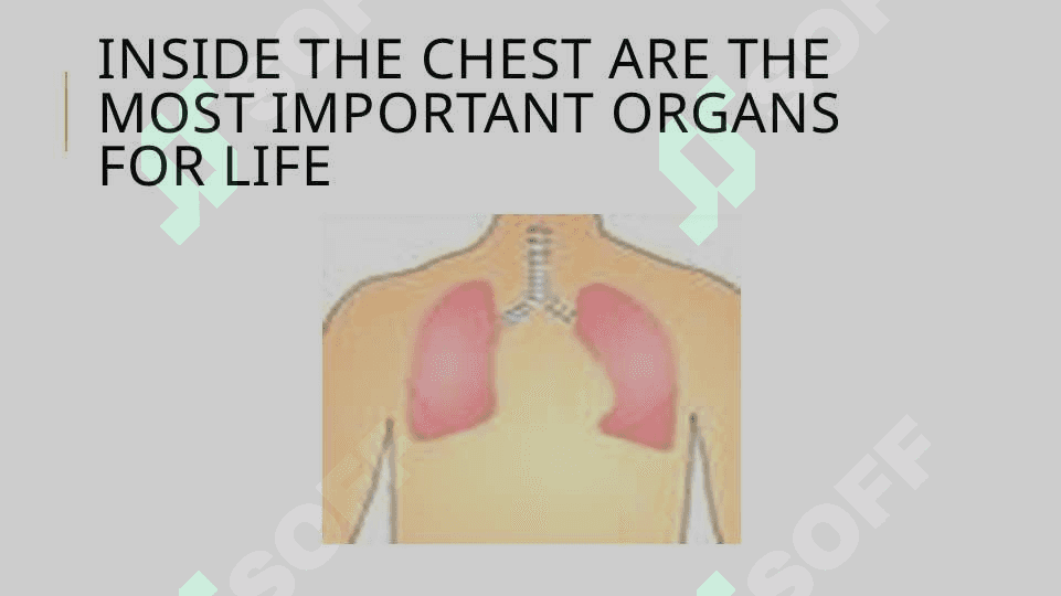 The chest 6