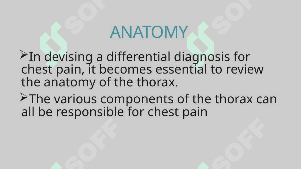 The chest 2