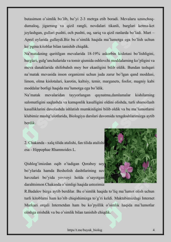 O’zbekistonning foydali o’simliklari 4