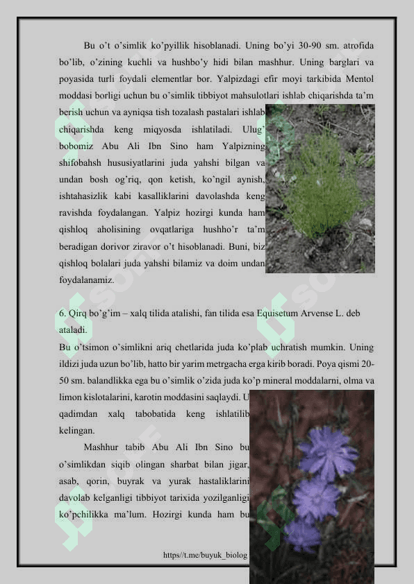 O’zbekistonning foydali o’simliklari 7