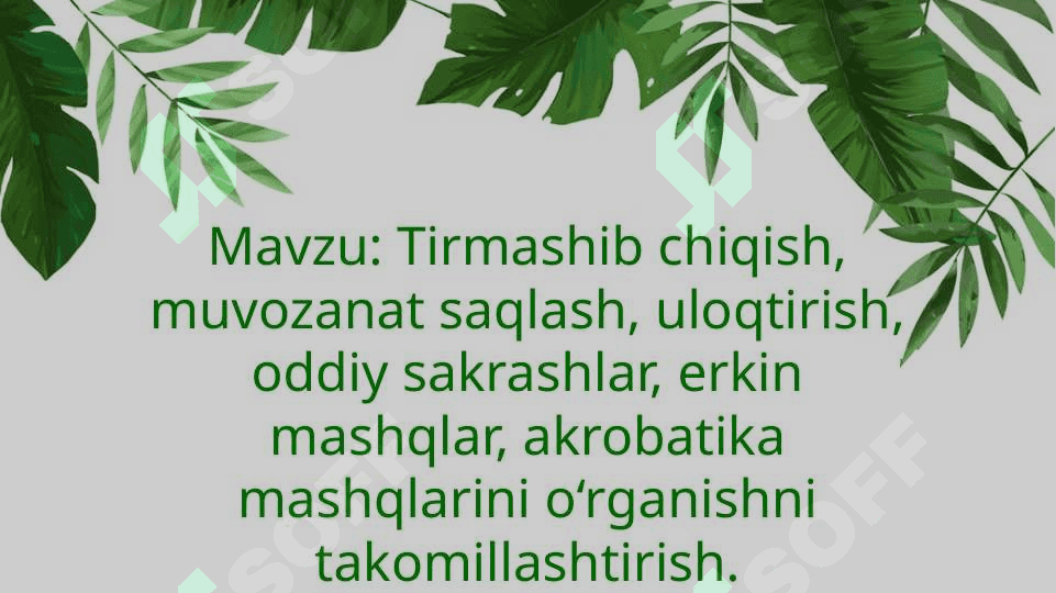 Tirmashib chiqish, muvozanat saqlash, uloqtirish, oddiy sakrashlar, erkin mashqlar, akrobatika mashqlarini o‘rganishni takomillashtirish 2
