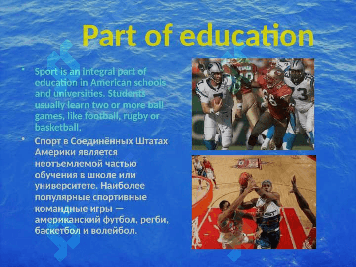 Sports in the USA 2