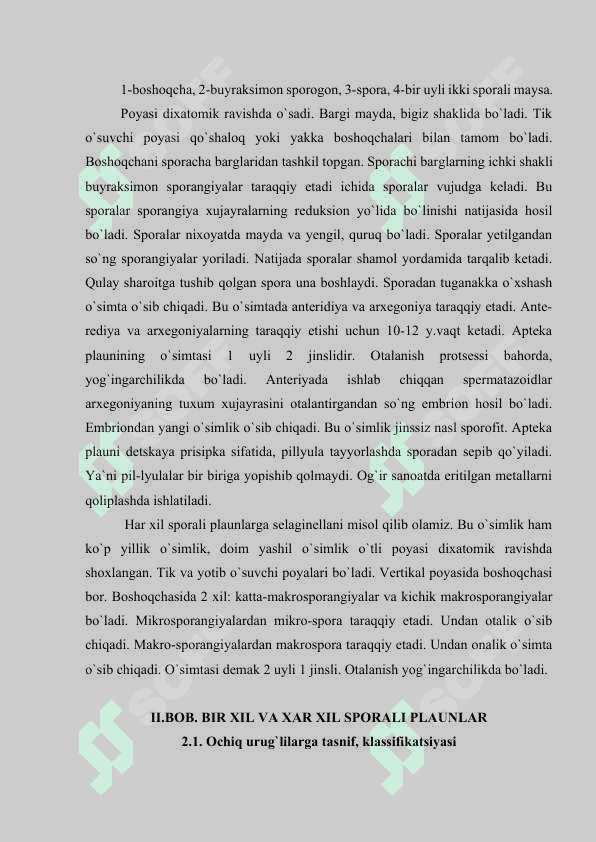 OCHIQ URUG’LI O’SIMLIKLAR BO’LIMI..docx 8