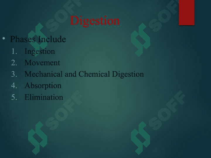DIGESTIVE SYSTEM 2