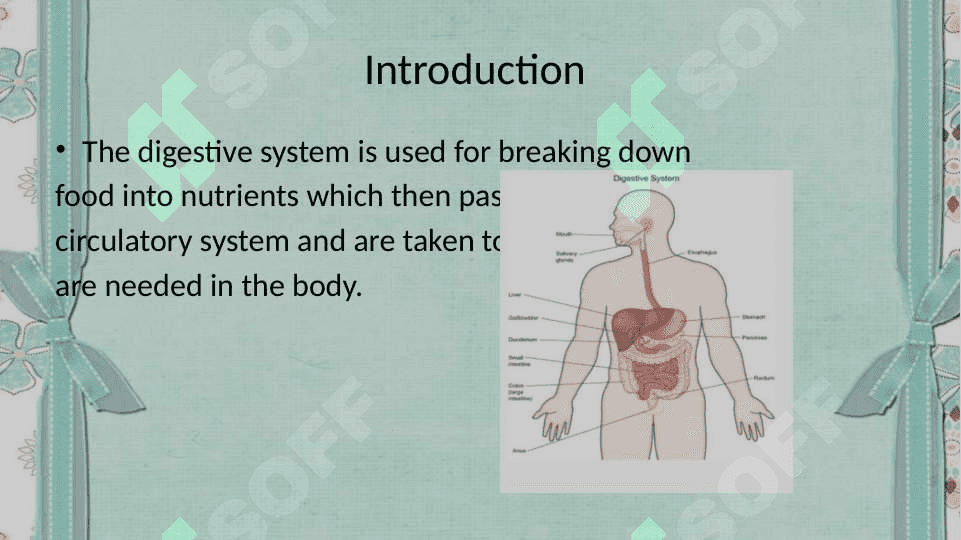 The digestive system and process of digestion and absorption 3
