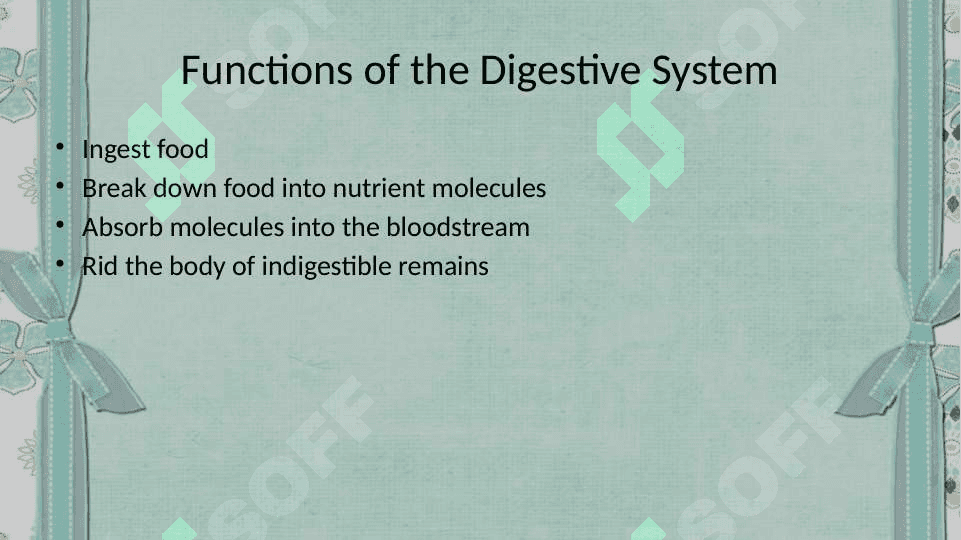 The digestive system and process of digestion and absorption 4