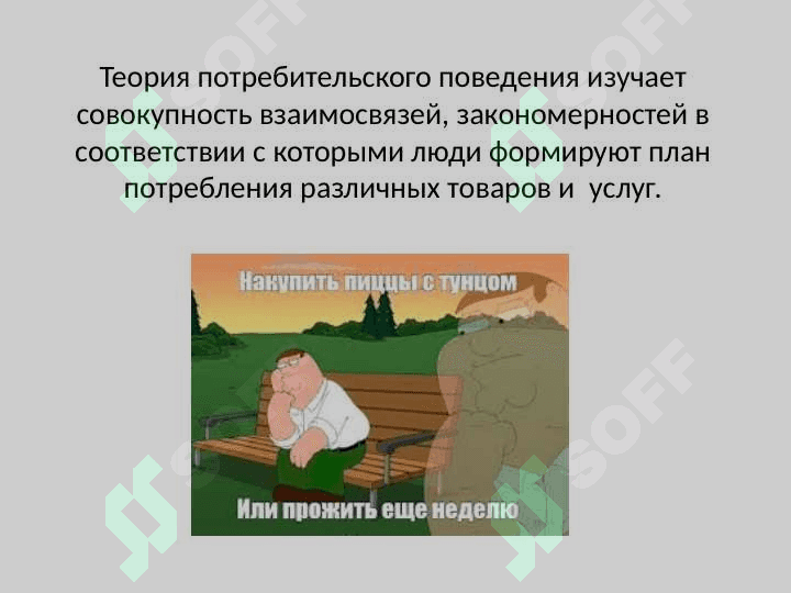 Теория потребительского поведения 2