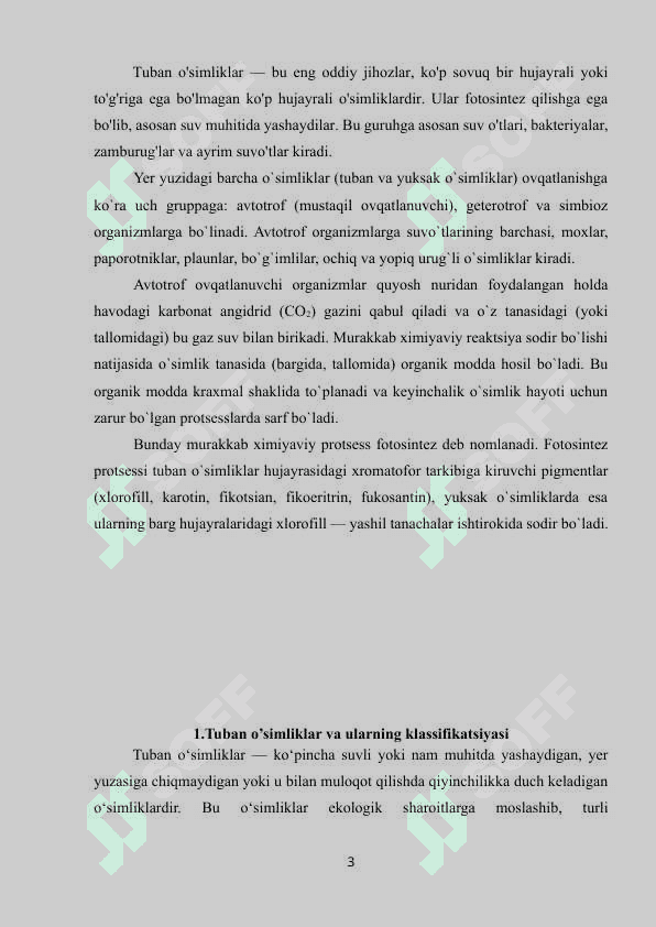 Tuban o`simliklar va ularning ahamiyati 3
