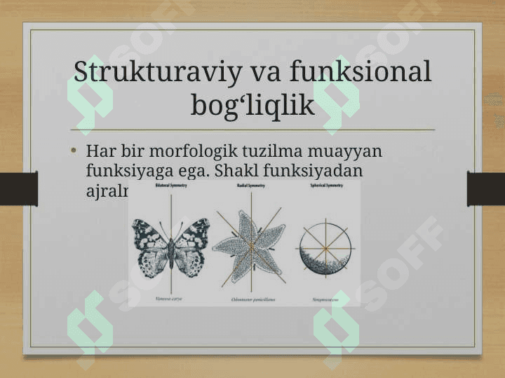 Morfologik qonuniyatlar, simmetriya turlari va metamorfoz 4
