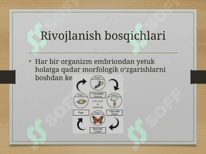 Morfologik qonuniyatlar, simmetriya turlari va metamorfoz 5