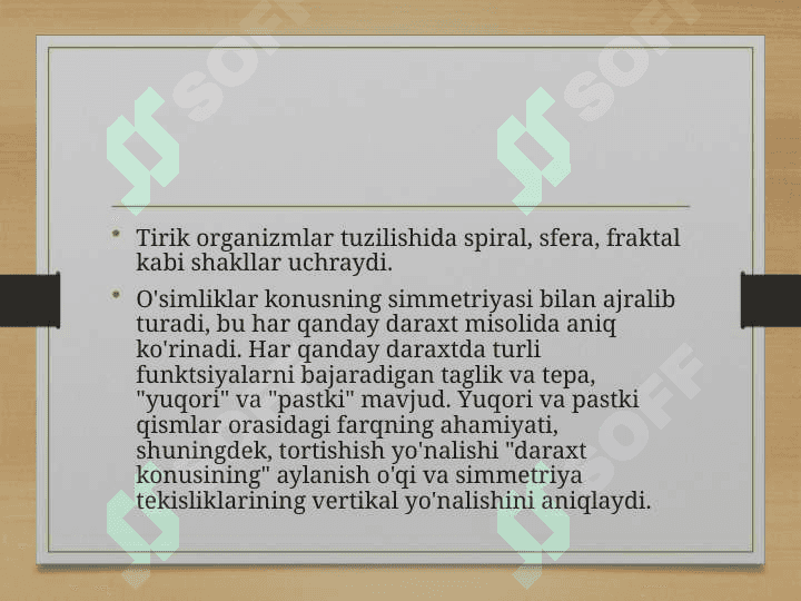 Morfologik qonuniyatlar, simmetriya turlari va metamorfoz 6