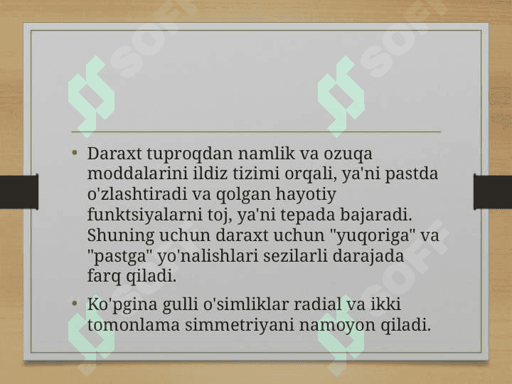 Morfologik qonuniyatlar, simmetriya turlari va metamorfoz 7