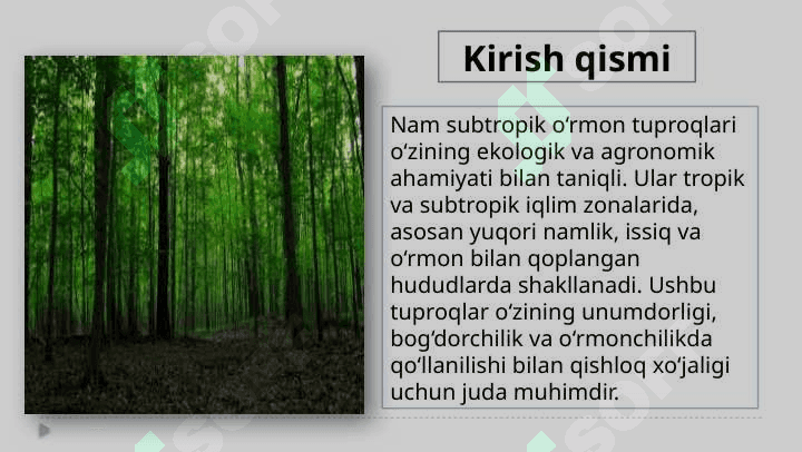 Nam subtropik o’rmon tuproqlari 3