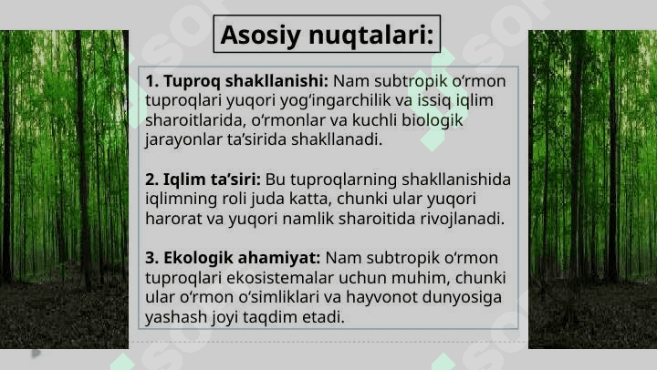 Nam subtropik o’rmon tuproqlari 4