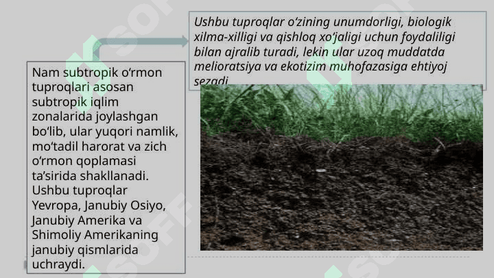 Nam subtropik o’rmon tuproqlari 7