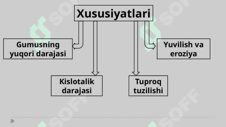 Nam subtropik o’rmon tuproqlari 8