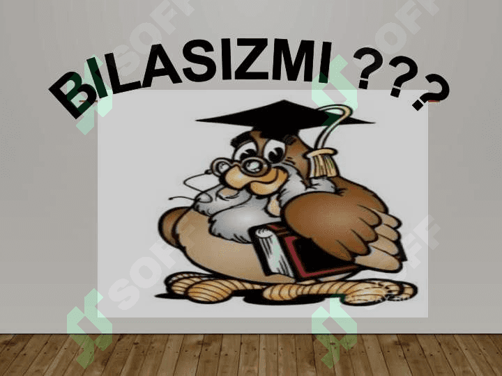Социологик тадкикот дастури 4