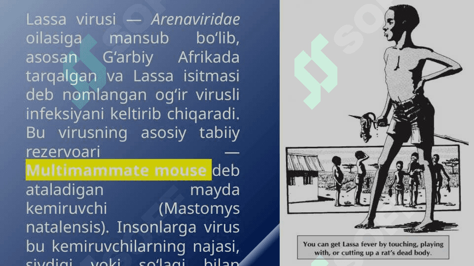 Ebola_Lassa_Zika viruslari_kasallik patogenezi va laboratoriya tashxisi 6