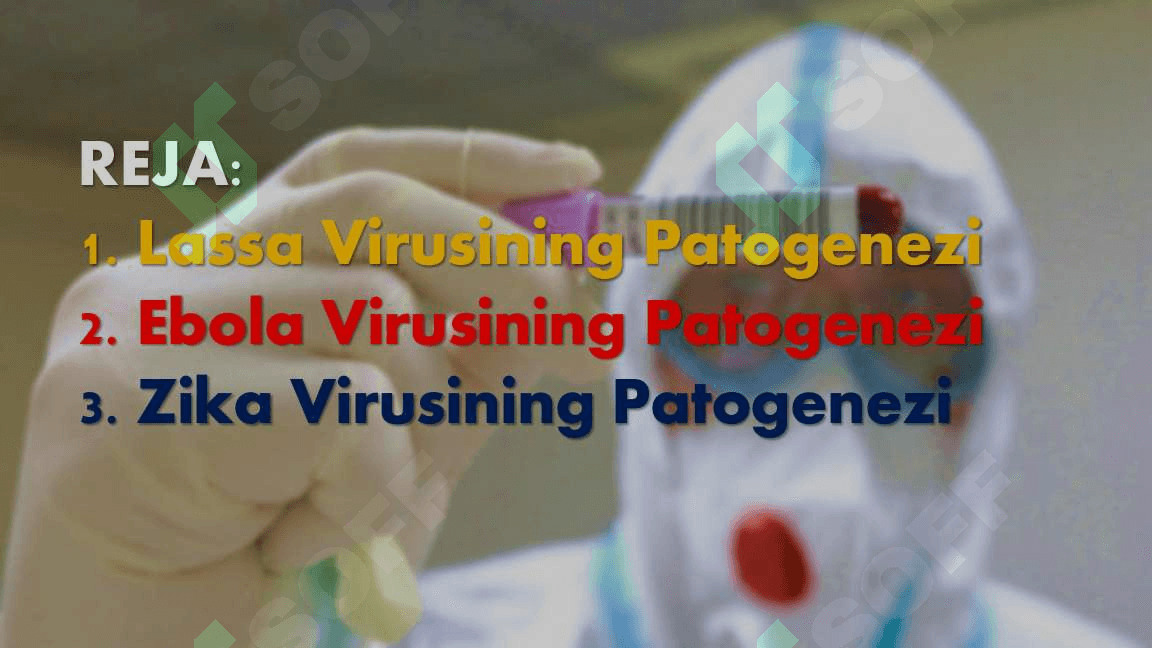 Ebola-Lassa-va-Zika-Viruslari-Umumiy-Kirish1 2