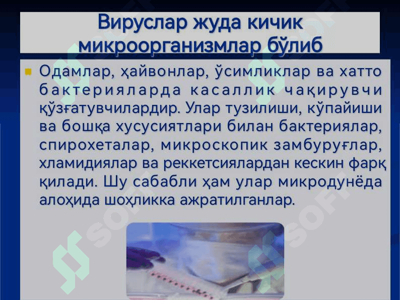 УМУМИЙ ВИРУСОЛОГИЯ. КЛАССИФИКАЦИЯСИ, ТУЗИЛИШИ ВА БИОЛОГИК ХУСУСИЯТЛАРИ. ФАГЛАР ВА УЛАРНИНГ АҲАМИЯТИ 2