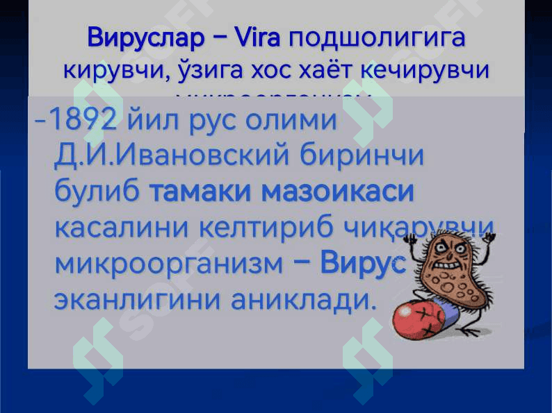 УМУМИЙ ВИРУСОЛОГИЯ. КЛАССИФИКАЦИЯСИ, ТУЗИЛИШИ ВА БИОЛОГИК ХУСУСИЯТЛАРИ. ФАГЛАР ВА УЛАРНИНГ АҲАМИЯТИ 3