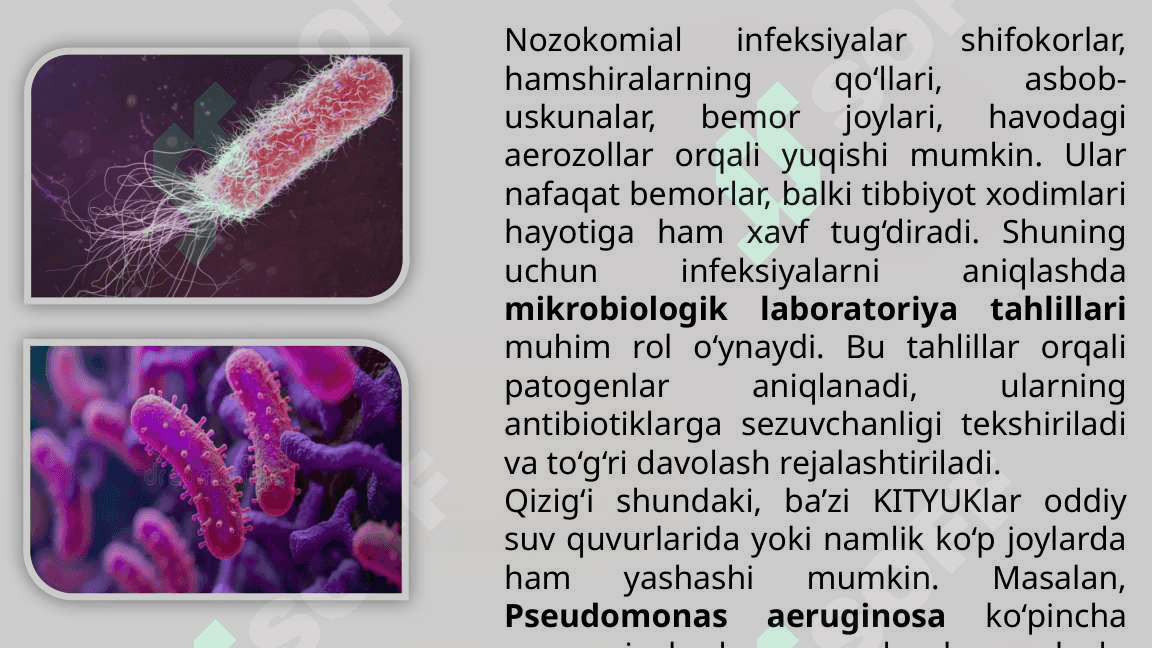 Laboratoriya-ishi-KITYUK-va-nozokomial-infeksiyalar 8