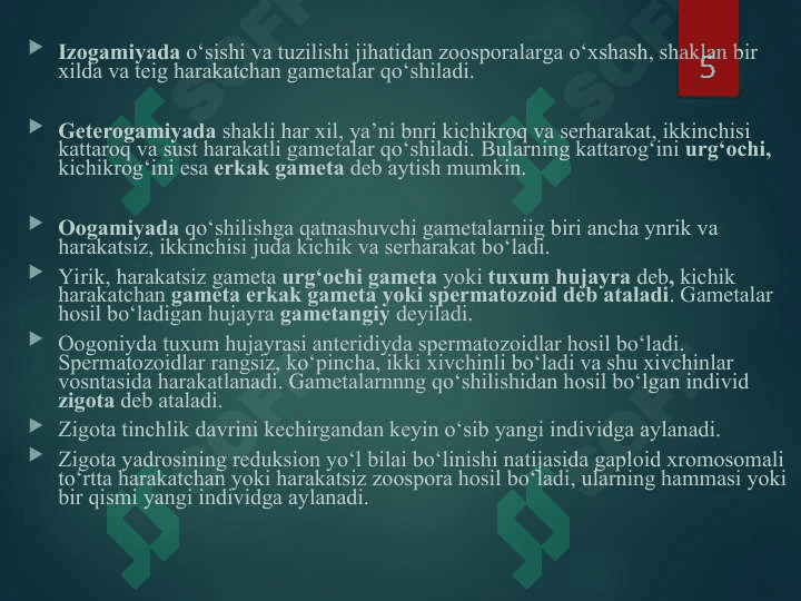 yashil suv o`tlar bo`limi 5