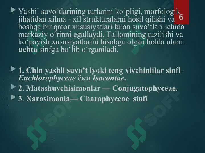 yashil suv o`tlar bo`limi 6