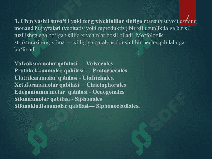 yashil suv o`tlar bo`limi 7