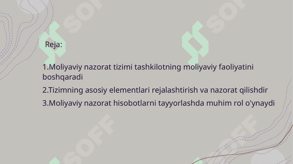 Moliyaviy nazorat tizimining bir tipligi va uning elementlari 2