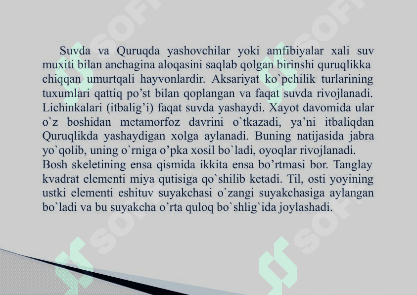 Suvda hamda  quriqlikda  yashovchilar sinfi 2