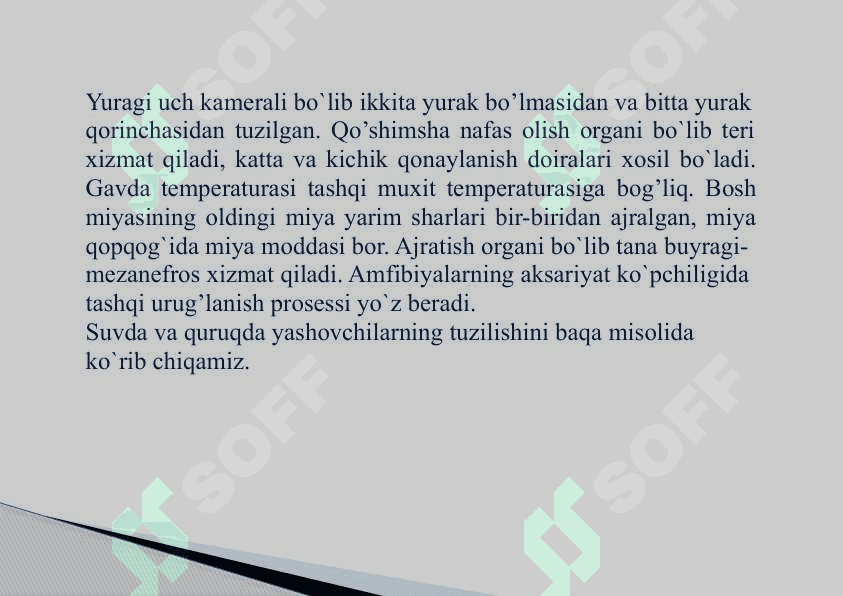 Suvda hamda  quriqlikda  yashovchilar sinfi 3