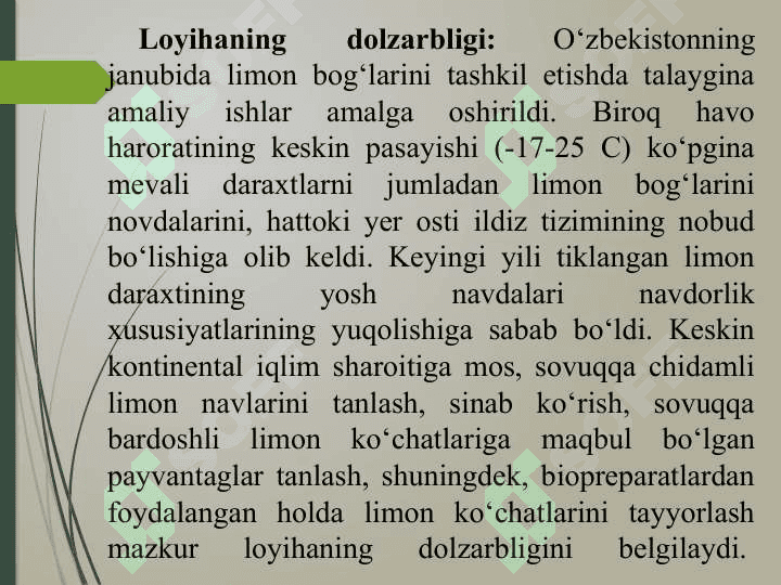 Limonning yashil   qalamchalaridan intensiv usulda ko‘chat yetishtirish 3