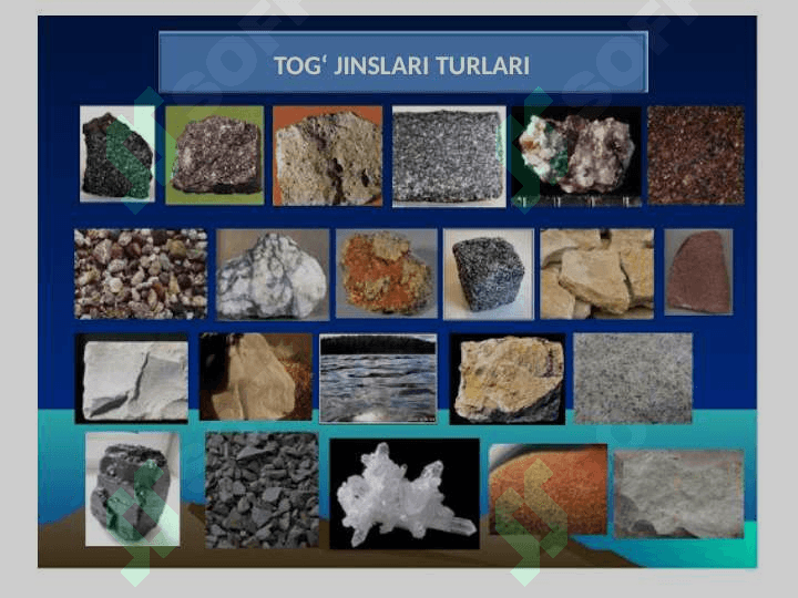 TOG‘ JINSLARI TURLARI 3