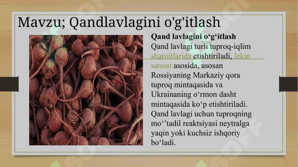 Qandlavlagini o'g'itlash 2
