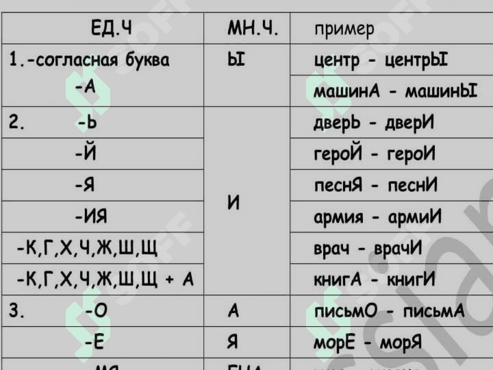 Местоимения.  Множественное число имён существительных. Притяжательные местоимения. Глагол. Настоящее время. Спряжение. ИК (интонационная конструкция). Мои друзьяЛексическая тема: Моя семья 6