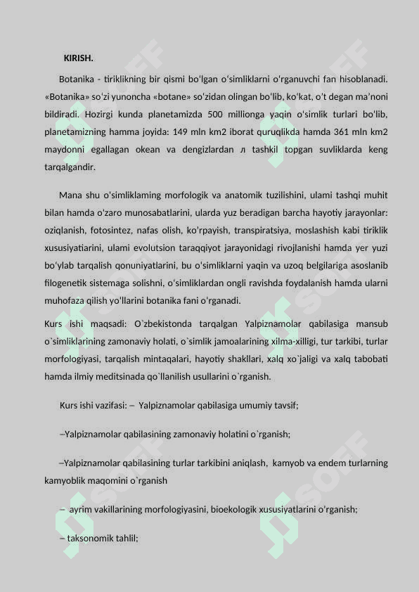 YALPIZDOSHLAR OILASI  kurs ishi  30 listli 3