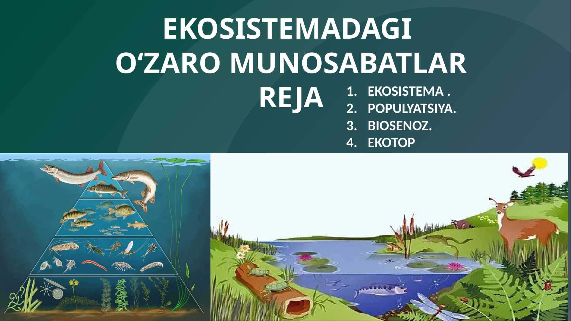EKOSISTEMADAGI O‘ZARO MUNOSABATLAR